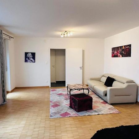 Apt Near Basel Centre And Airport Ξενοδοχείο Εξωτερικό φωτογραφία